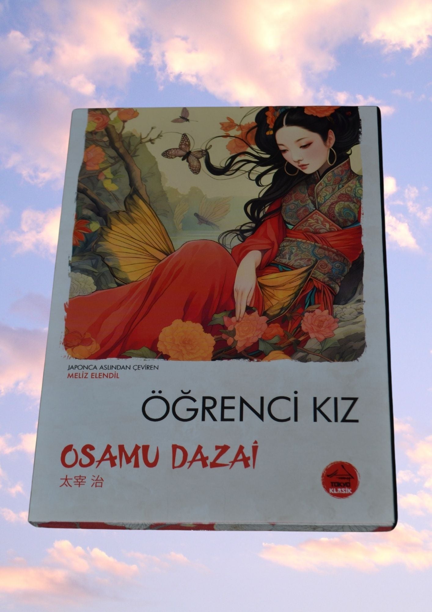 12 Kitap - Japon Klasikleri Seti