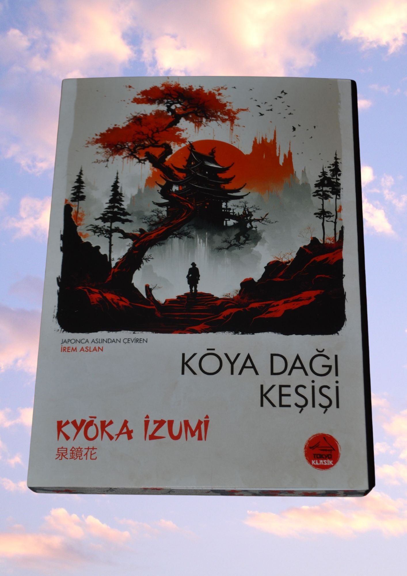 12 Kitap - Japon Klasikleri Seti