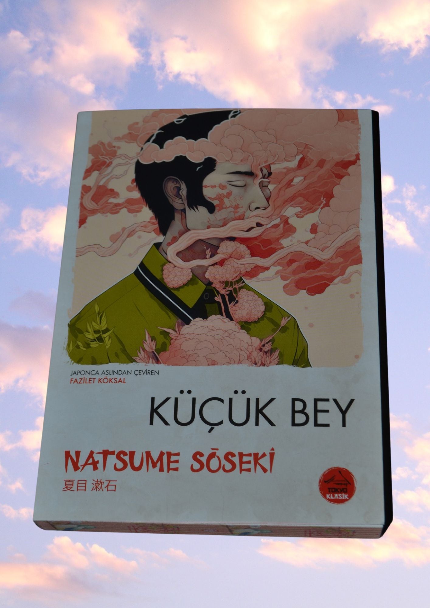 12 Kitap - Japon Klasikleri Seti